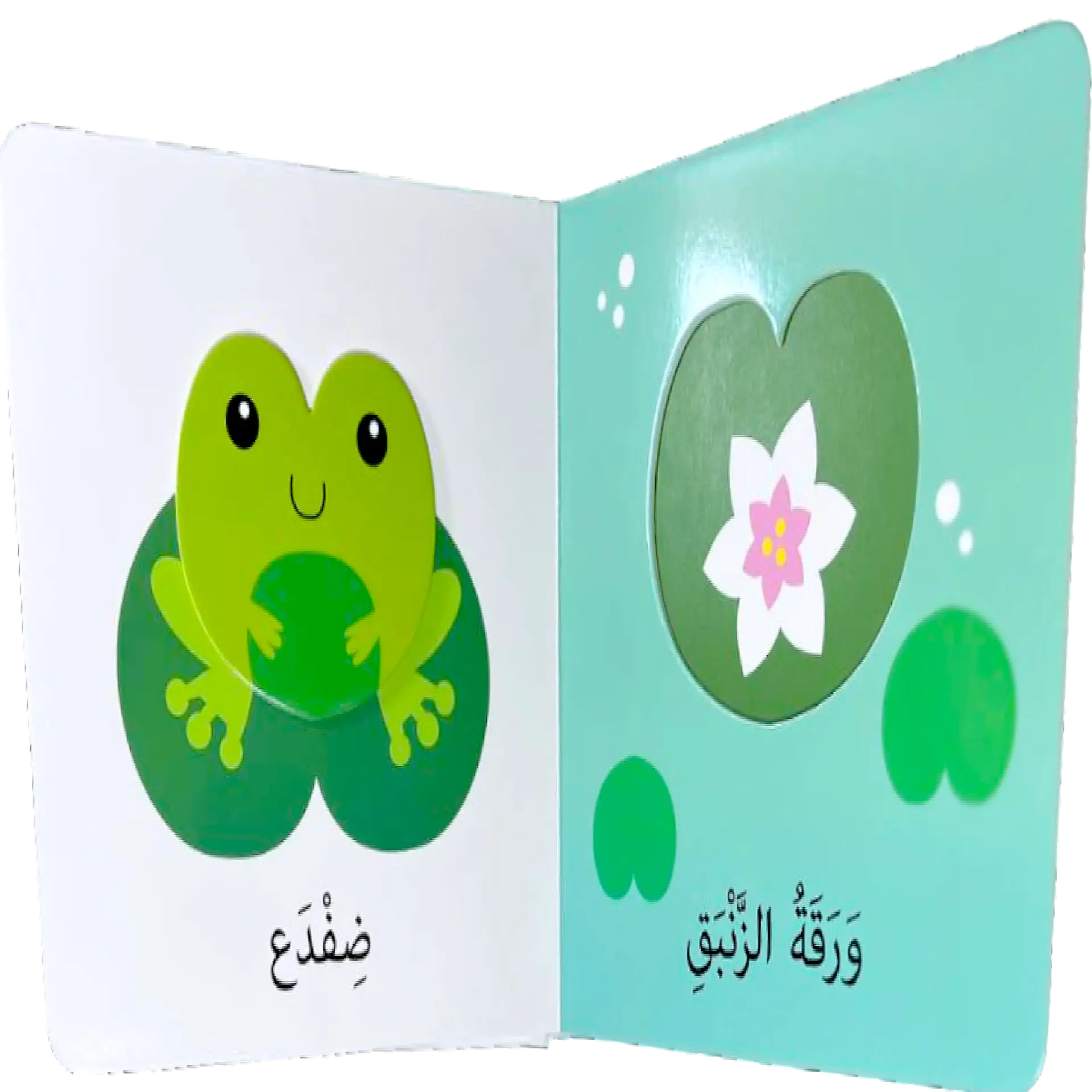 اكتشافات للايدي الصغيرة - الحيوانات