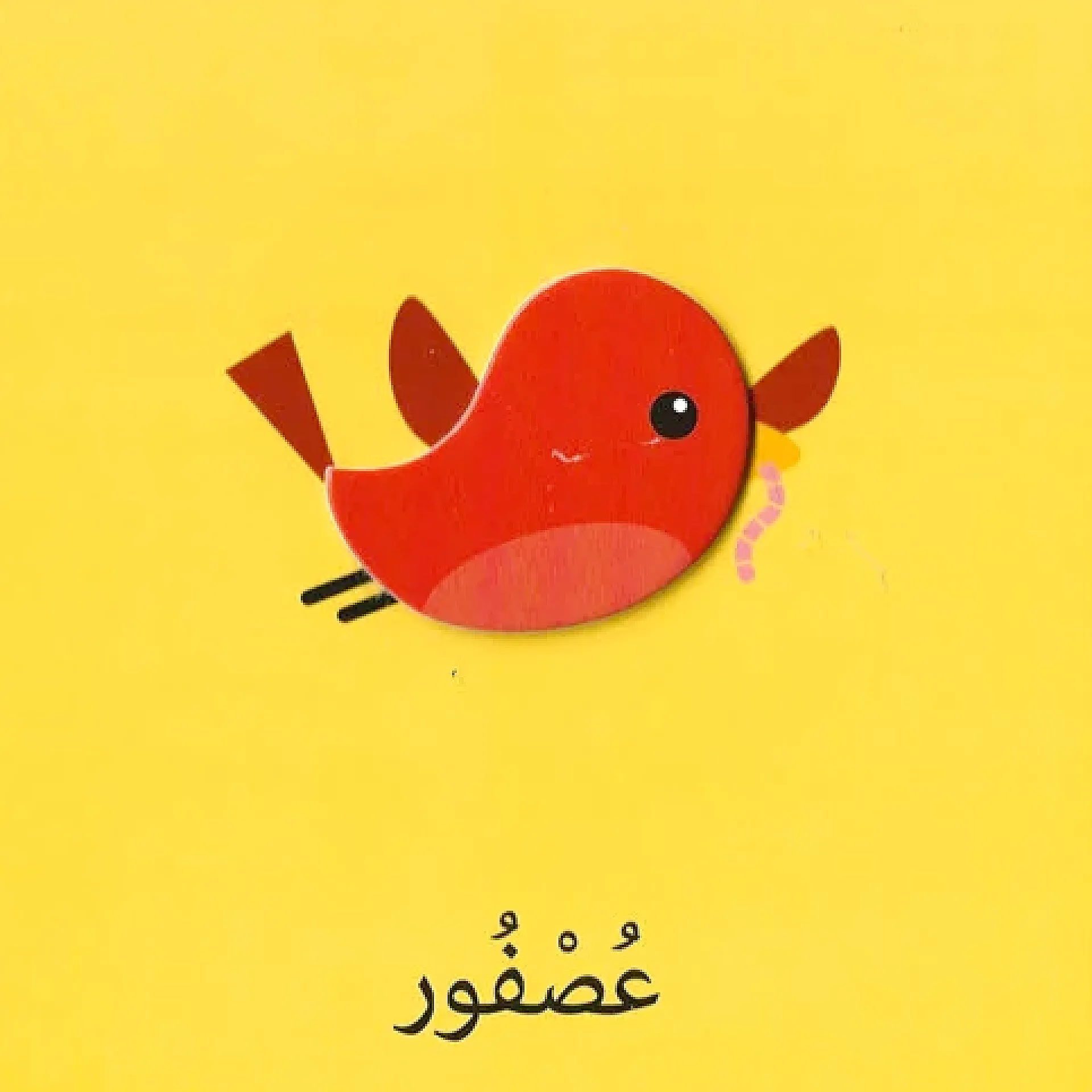 اكتشافات للايدي الصغيرة - الحيوانات