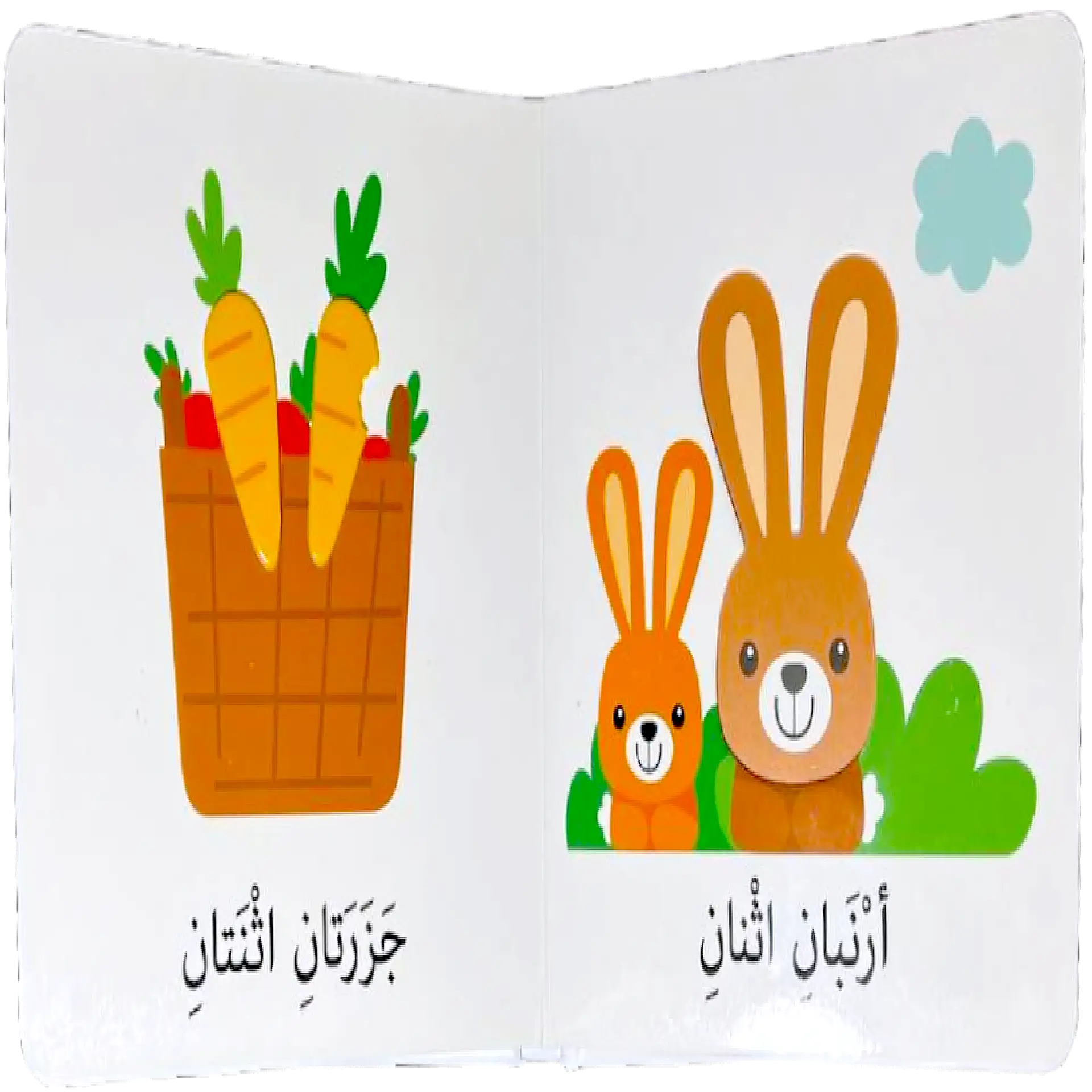 اكتشافات للايدي الصغيرة - الأرقام