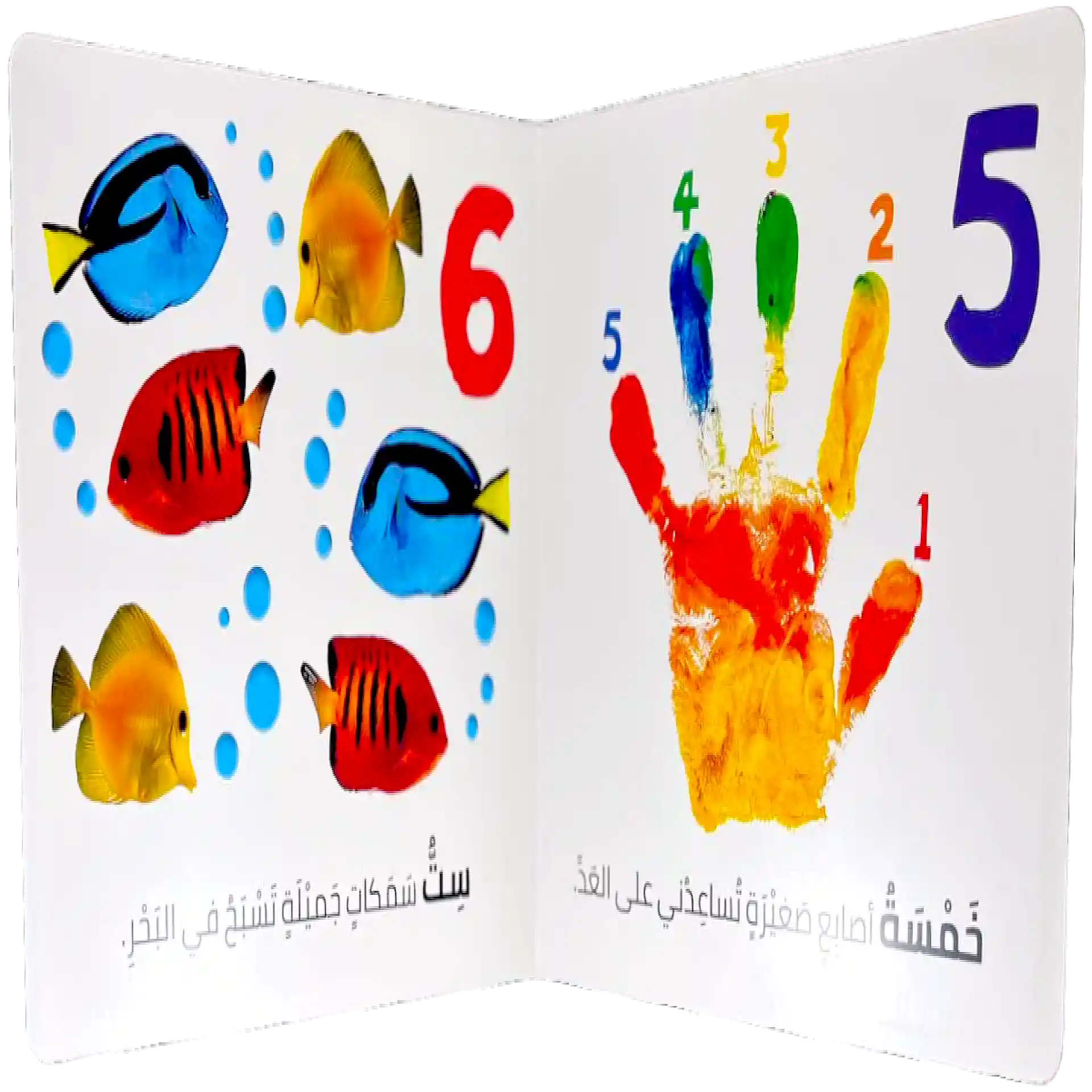 الرؤية, اللمس, الإحساس - 1 2 3