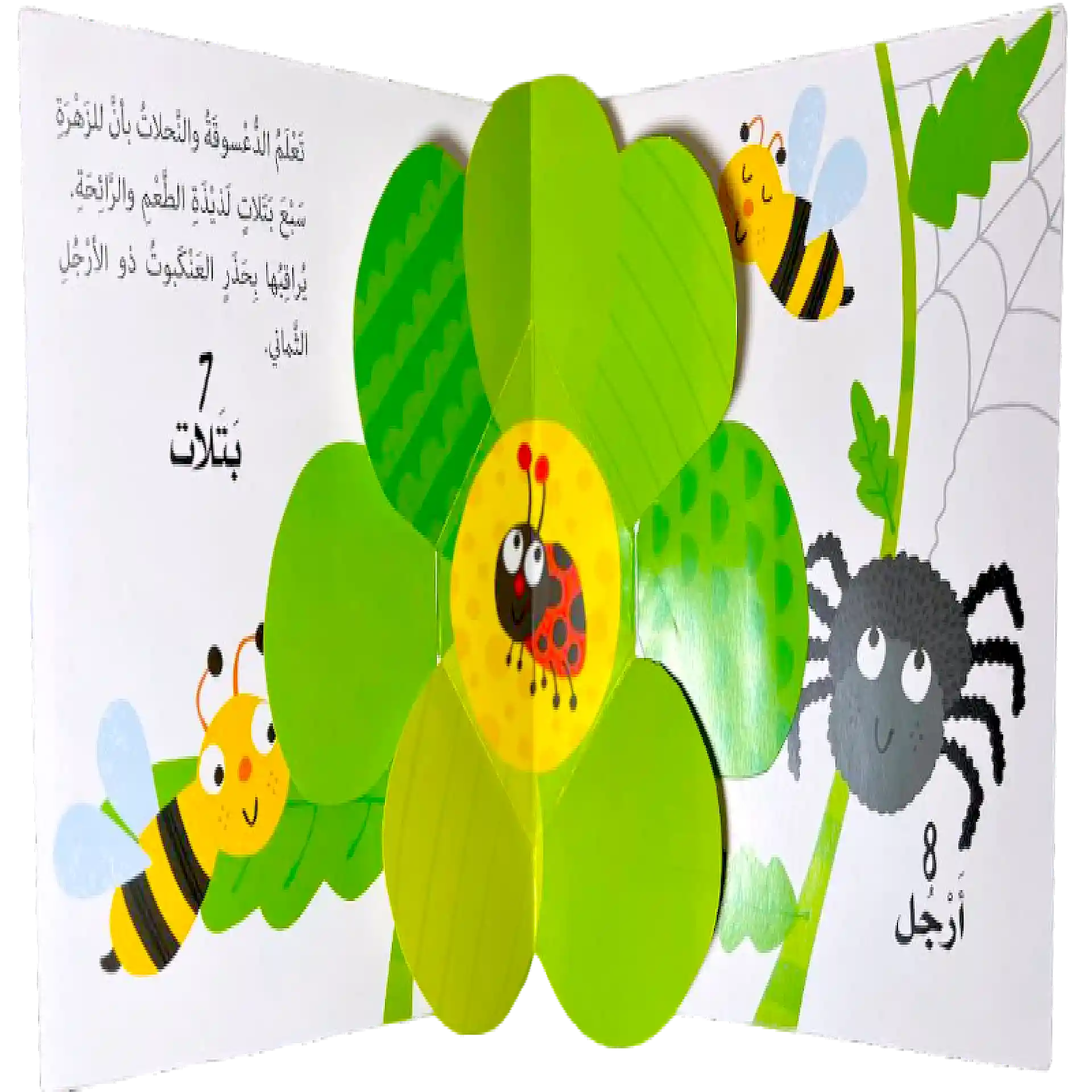 تعلم مع الاشكال الظاهرة - الأرقام