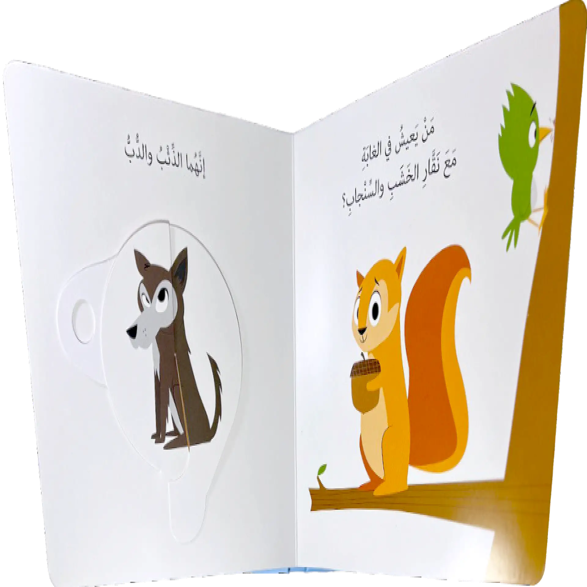 دوّر واكتشف - الحيوانات