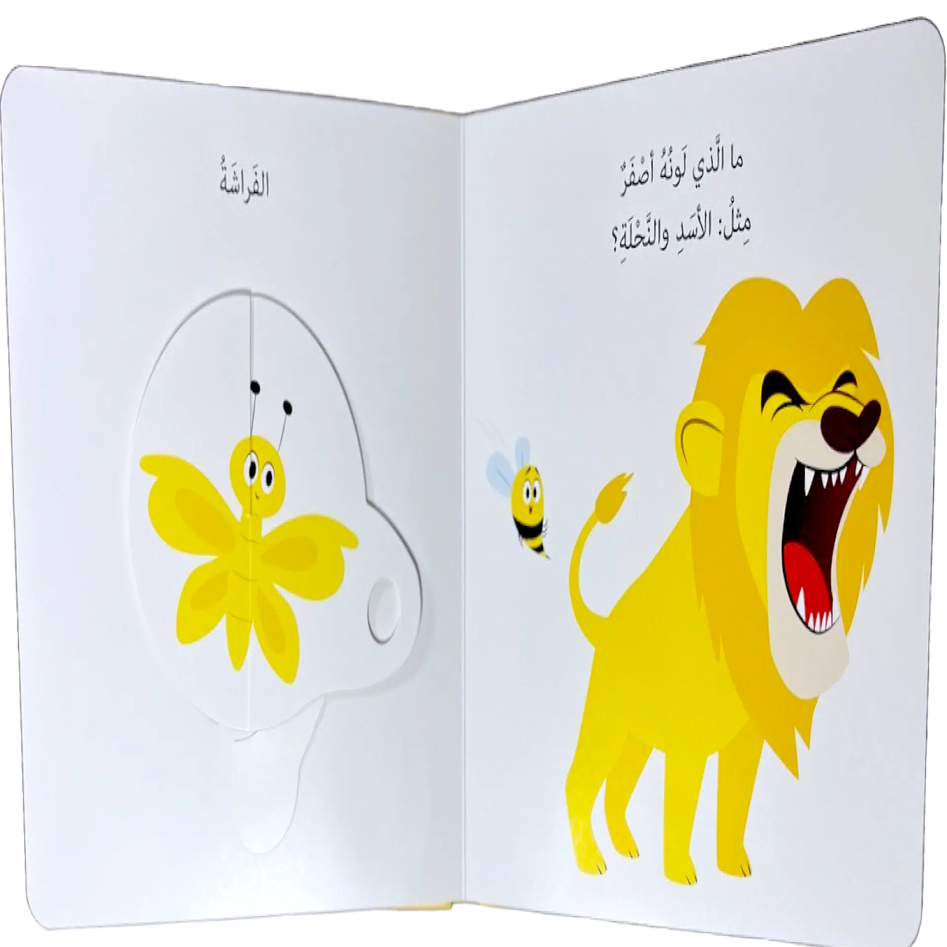 دوّر واكتشف - الألوان