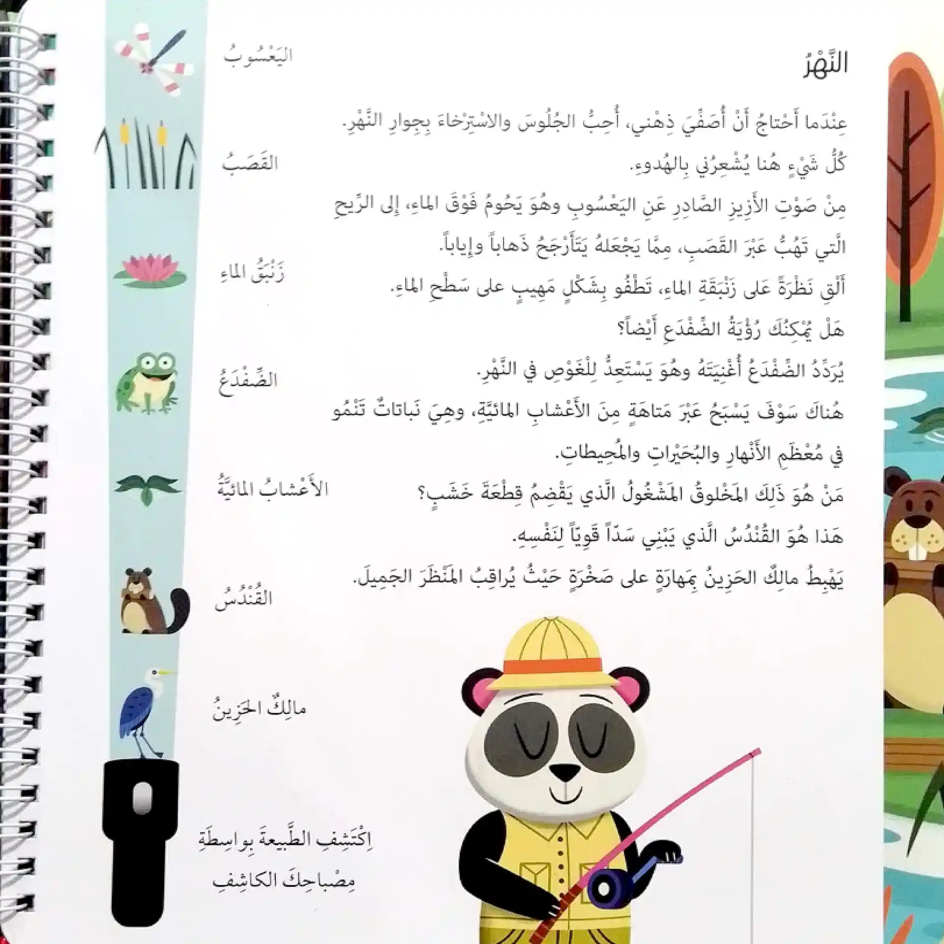 الطبيعة - سلّط الضوء واكتشف