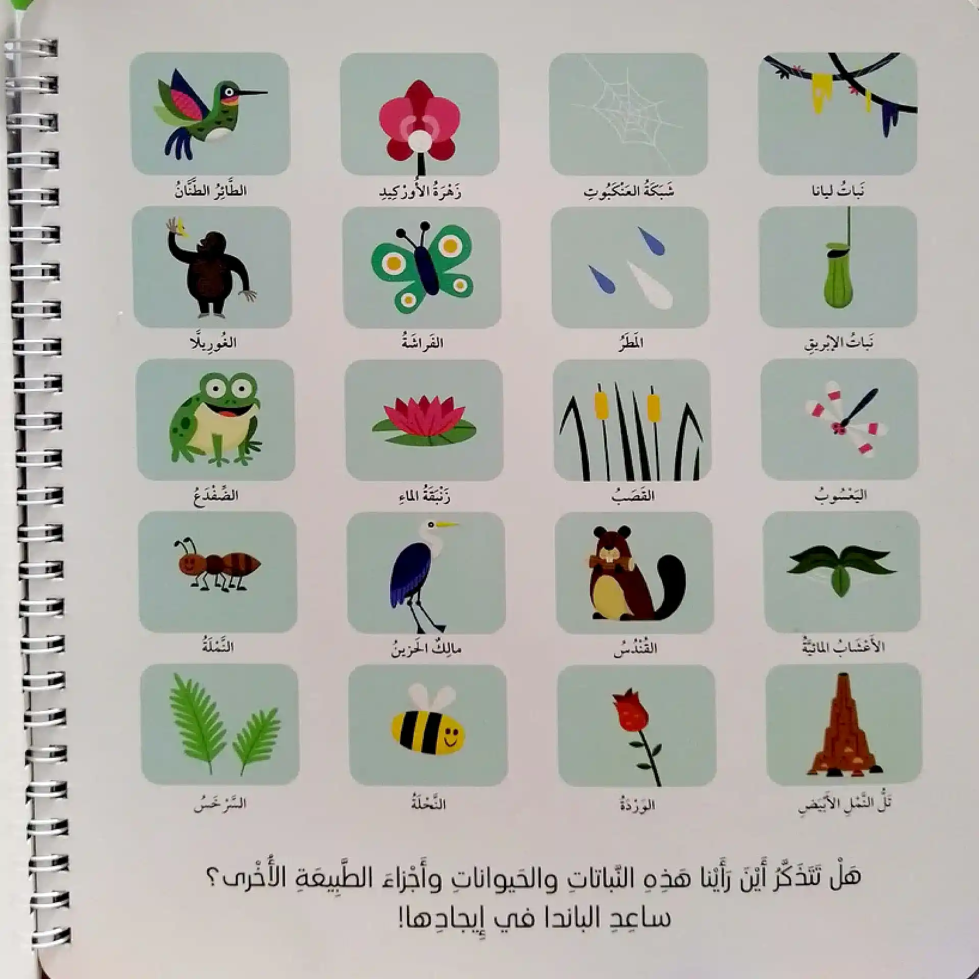 الطبيعة - سلّط الضوء واكتشف