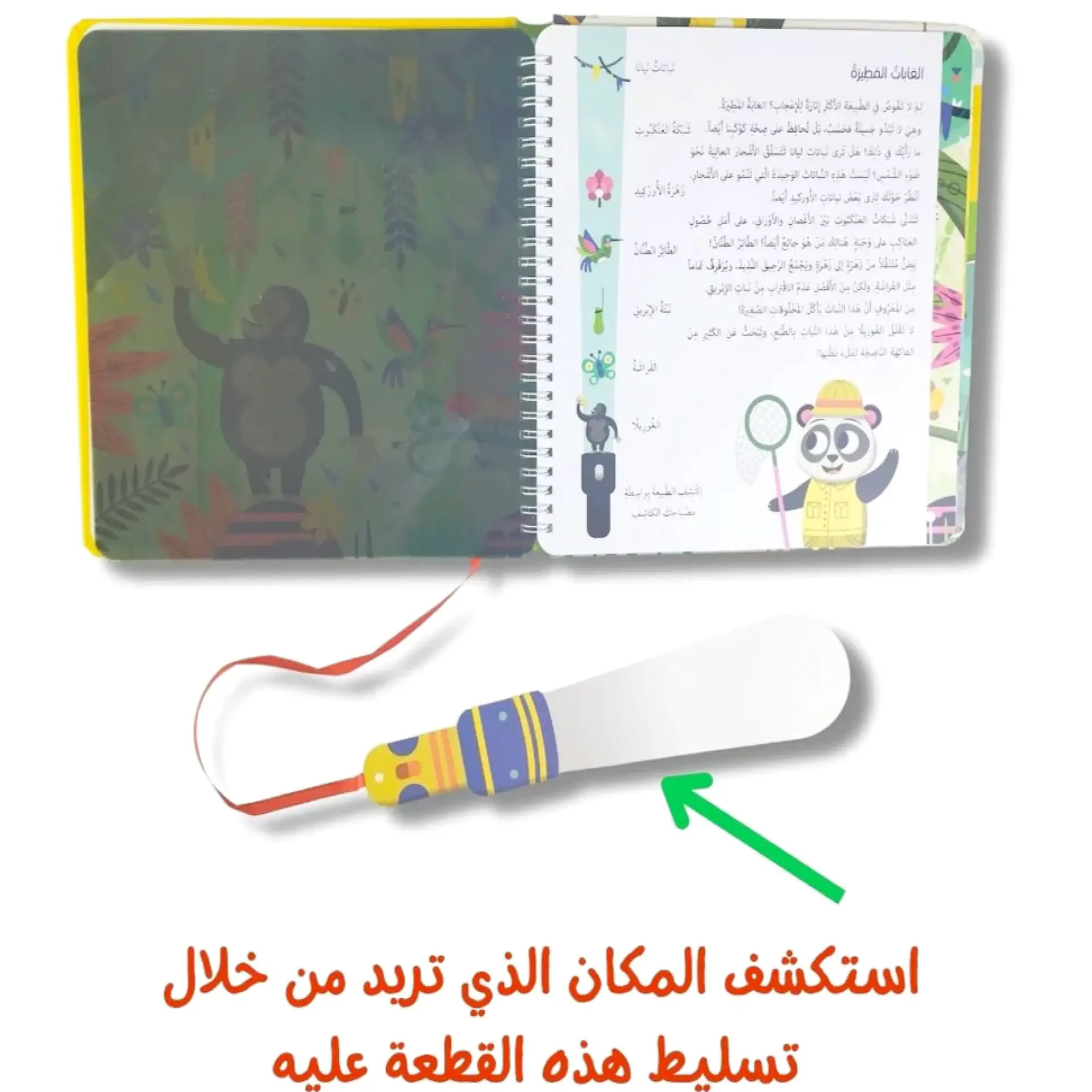 الطبيعة - سلّط الضوء واكتشف