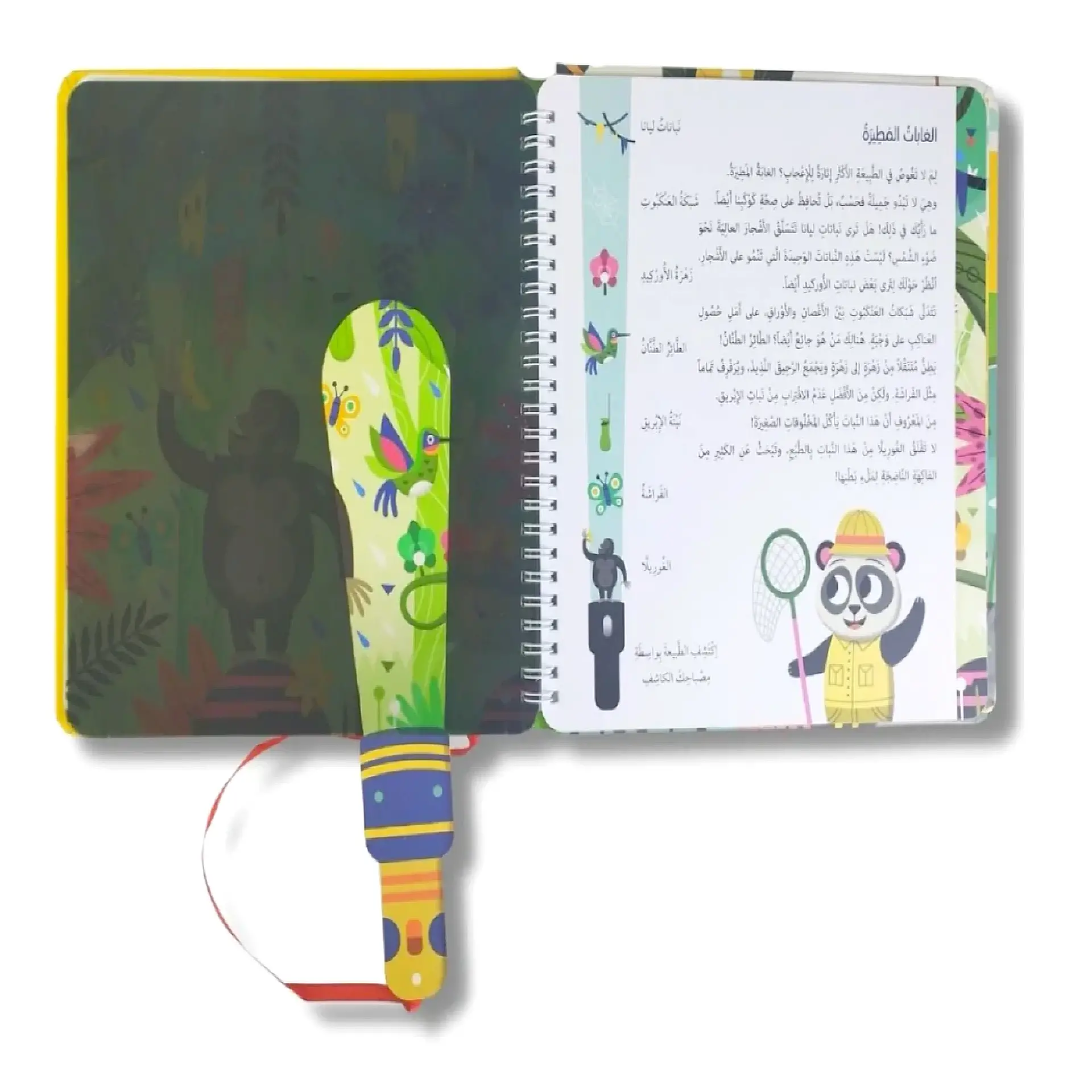 الطبيعة - سلّط الضوء واكتشف