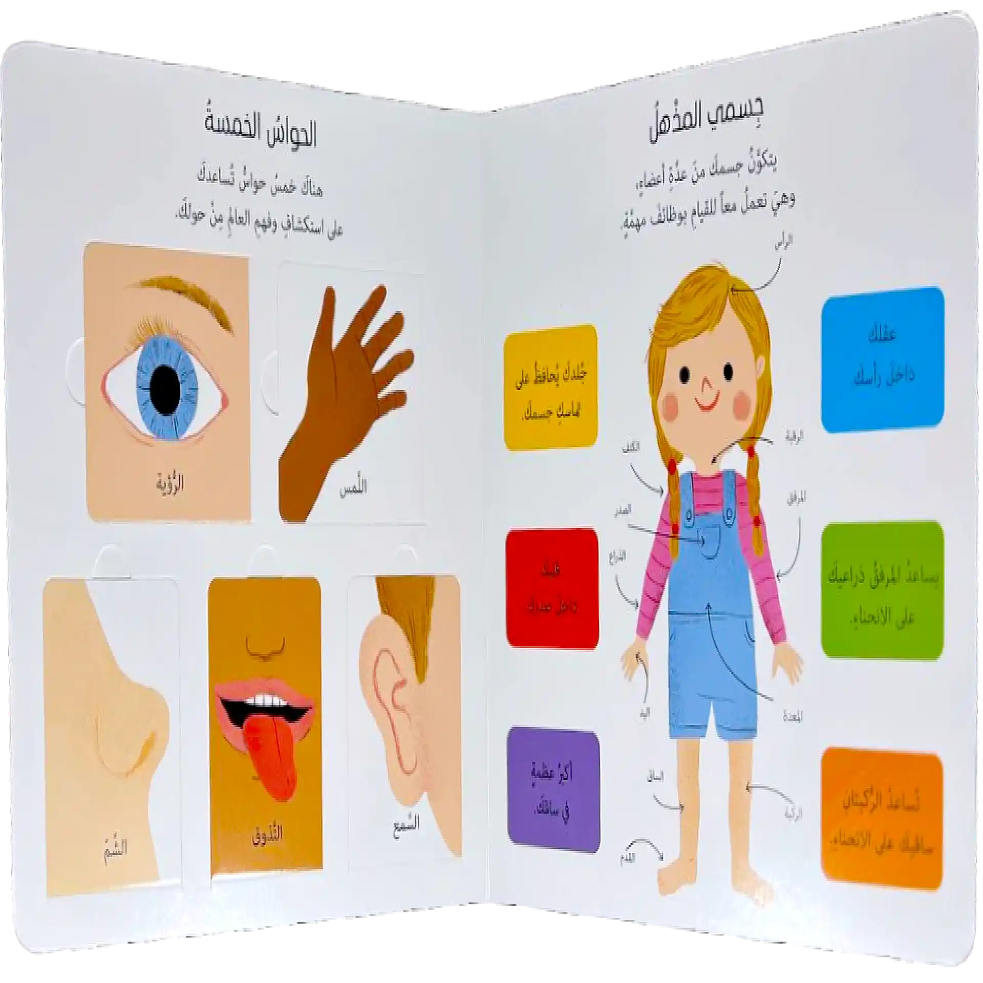 جسمي المُذهل