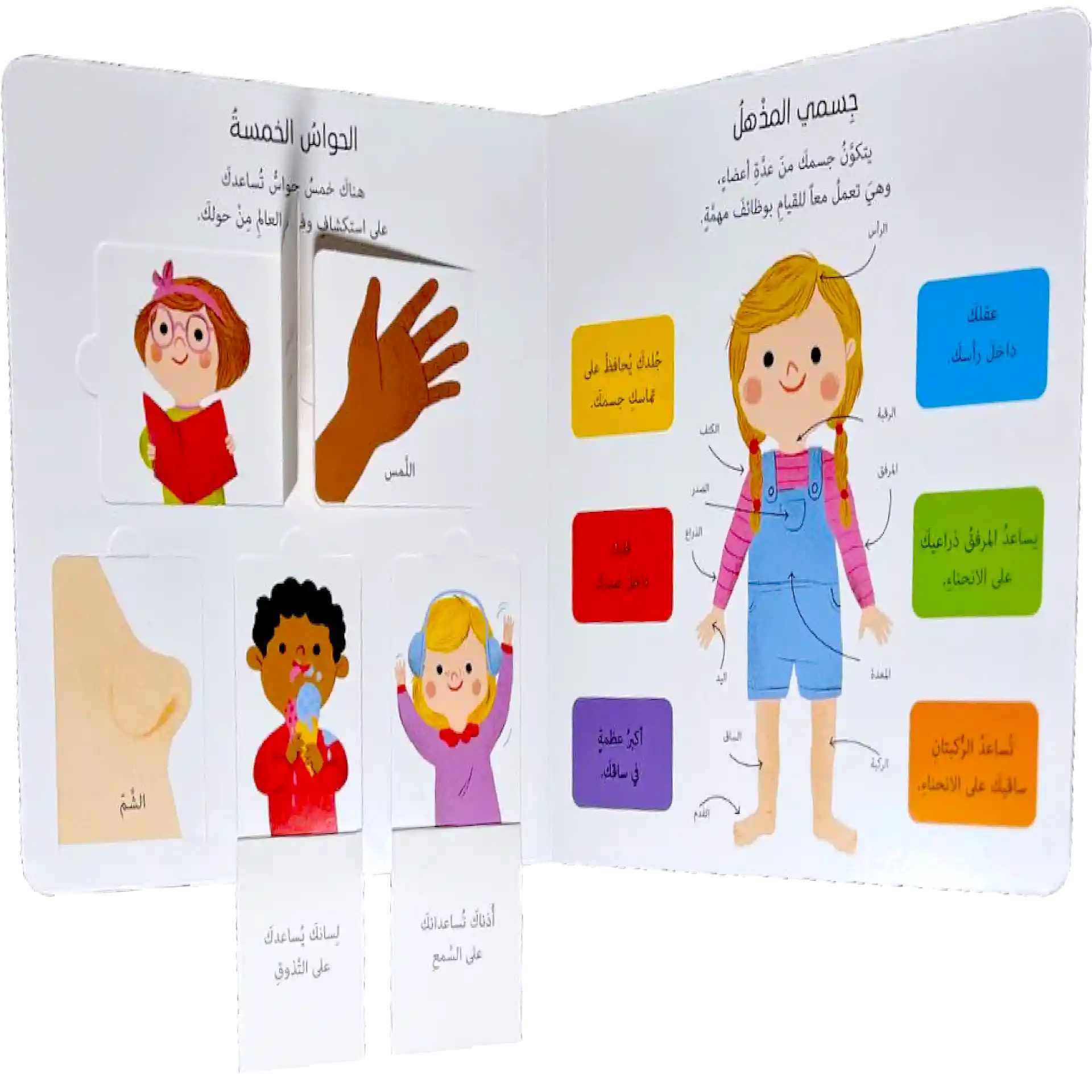 جسمي المُذهل