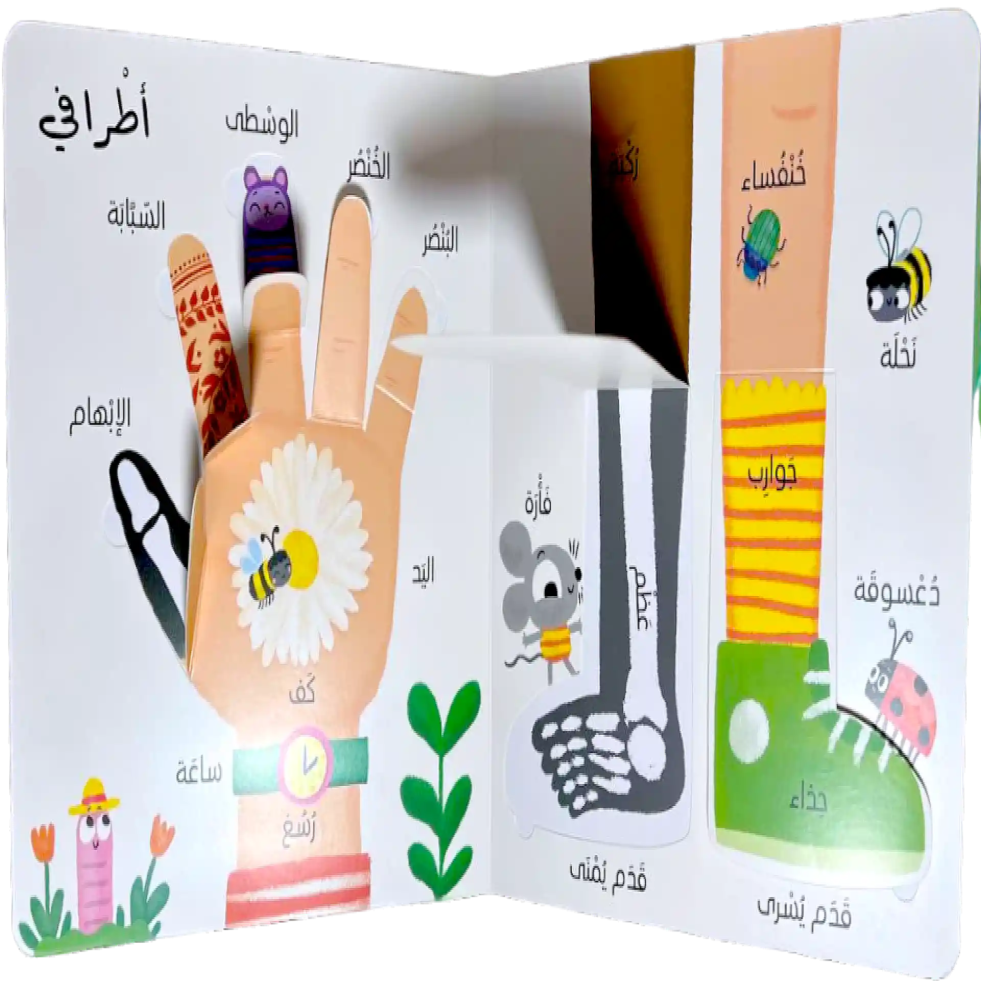 اول 100 كلمة - جسمي