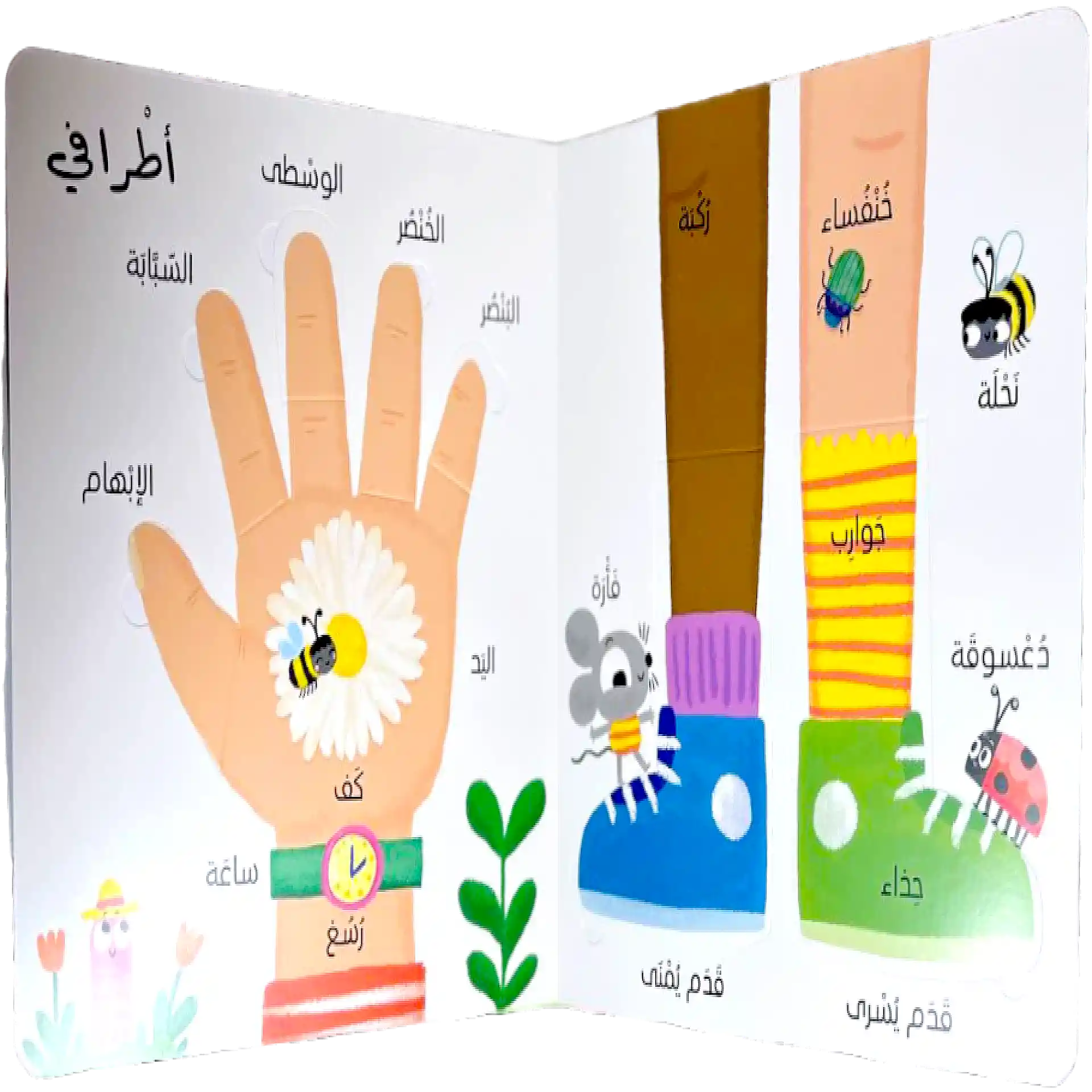 اول 100 كلمة - جسمي