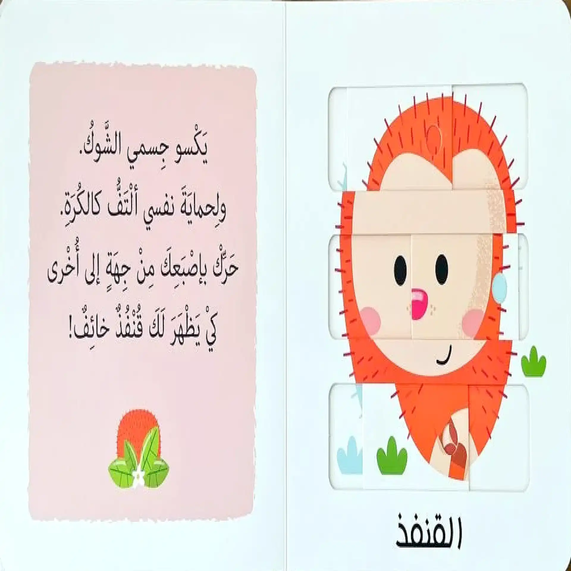 الصور المتحركة - حيوانات الغابة