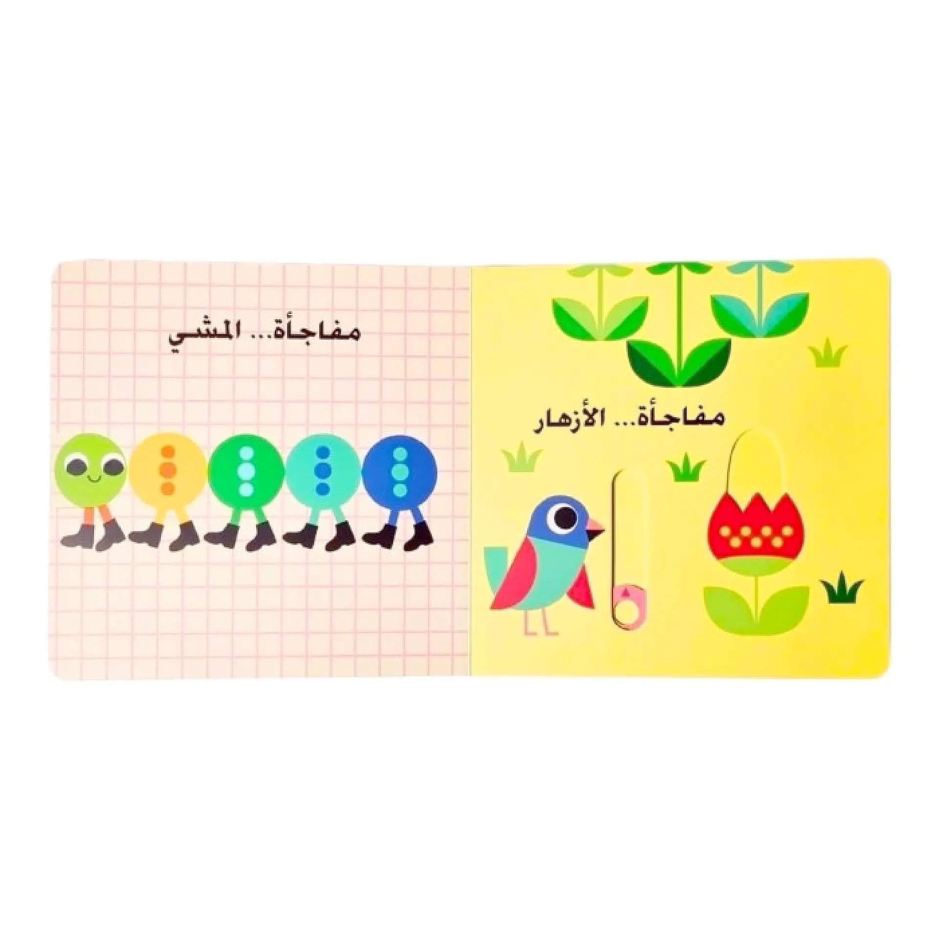 نظرة خاطفة ومفاجات - الصوص