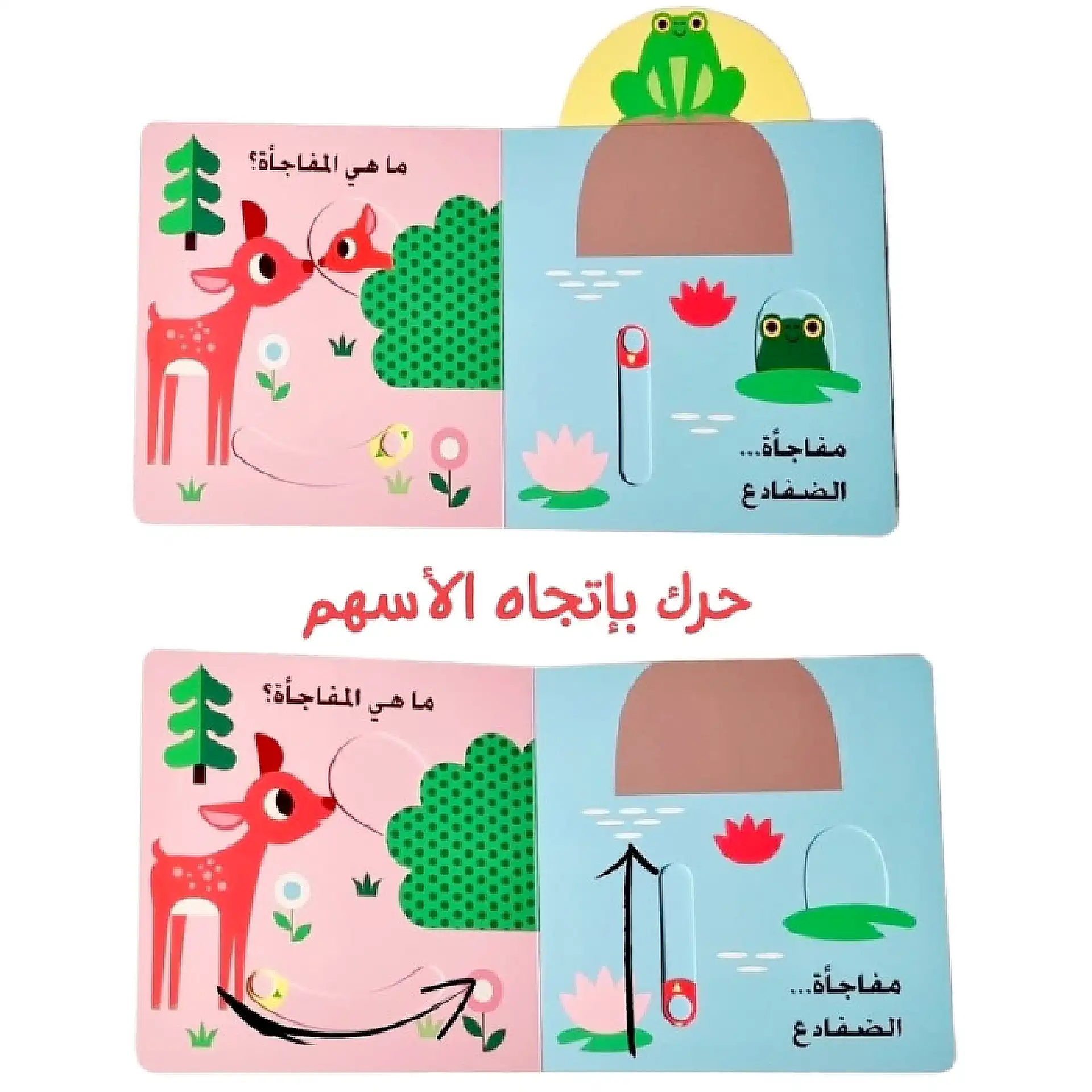 نظرة خاطفة ومفاجات - الصوص