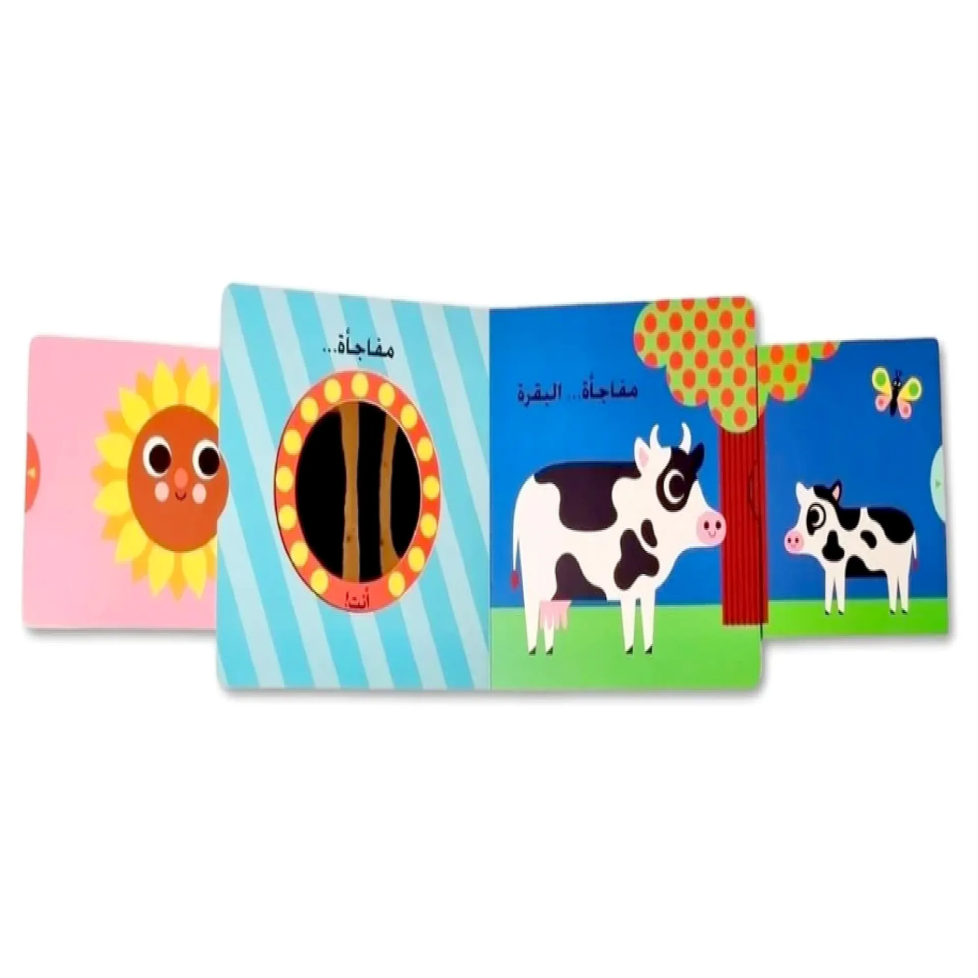 نظرة خاطفة ومفاجات - البقرة