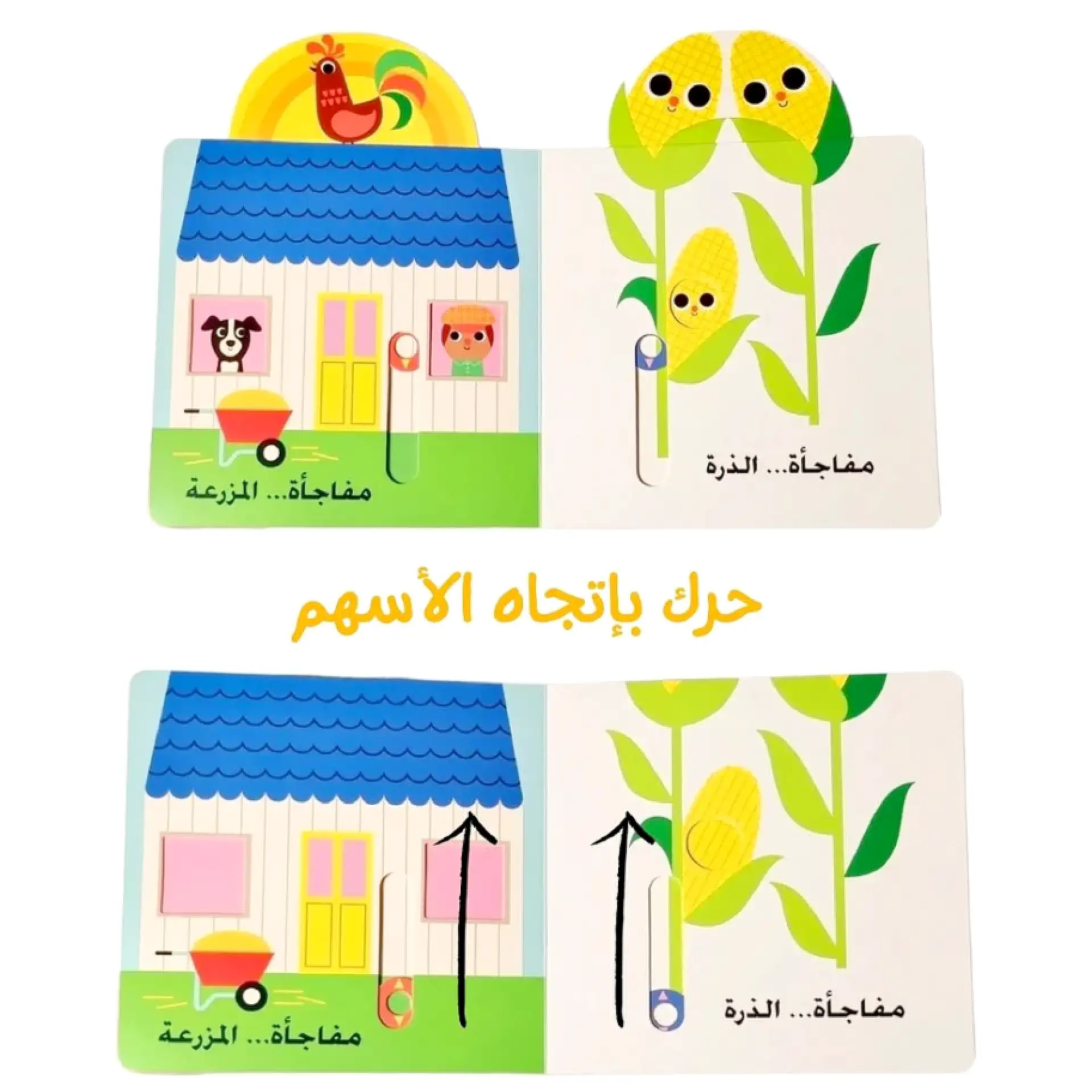 نظرة خاطفة ومفاجات - البقرة