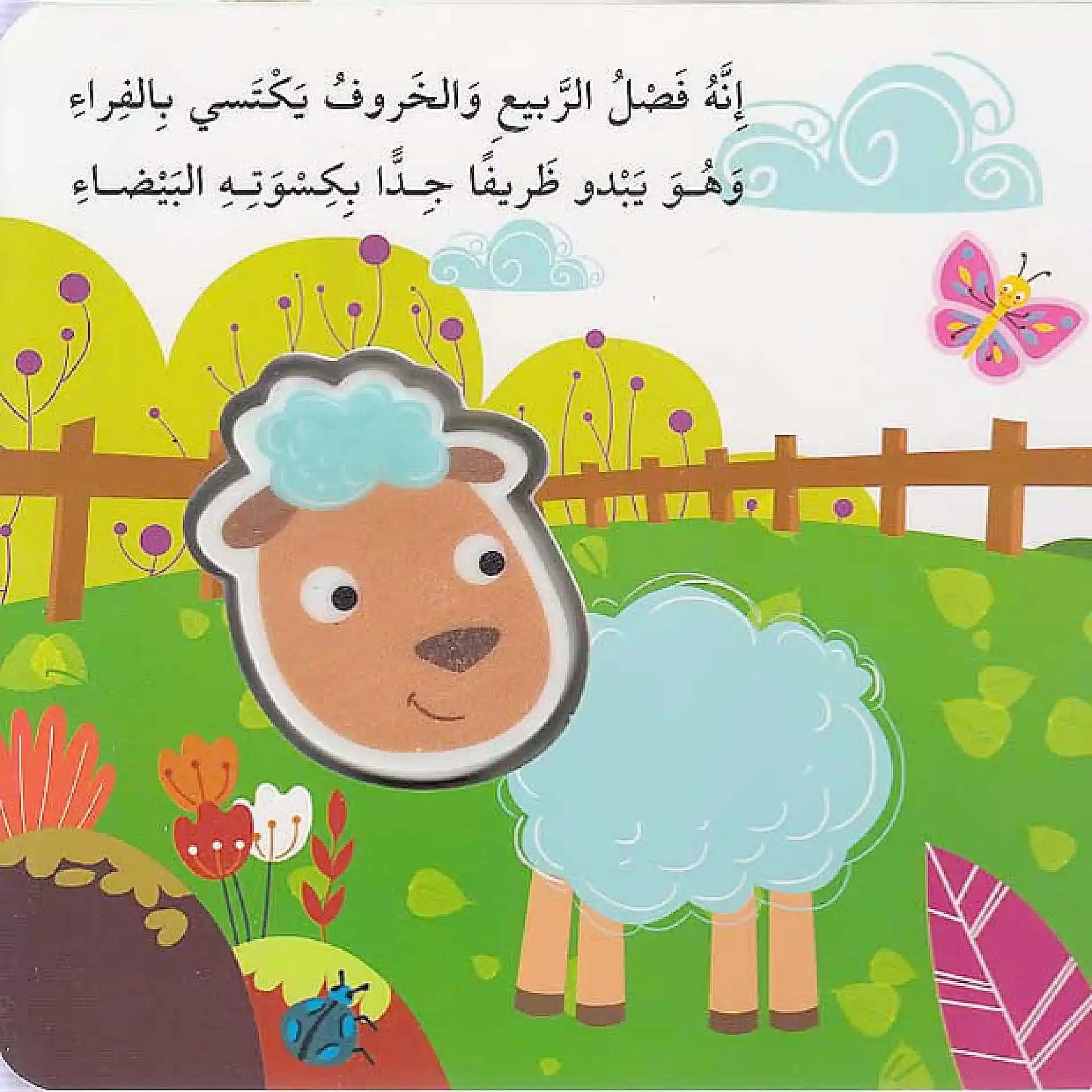 اضغطني تسمعني - الخروف