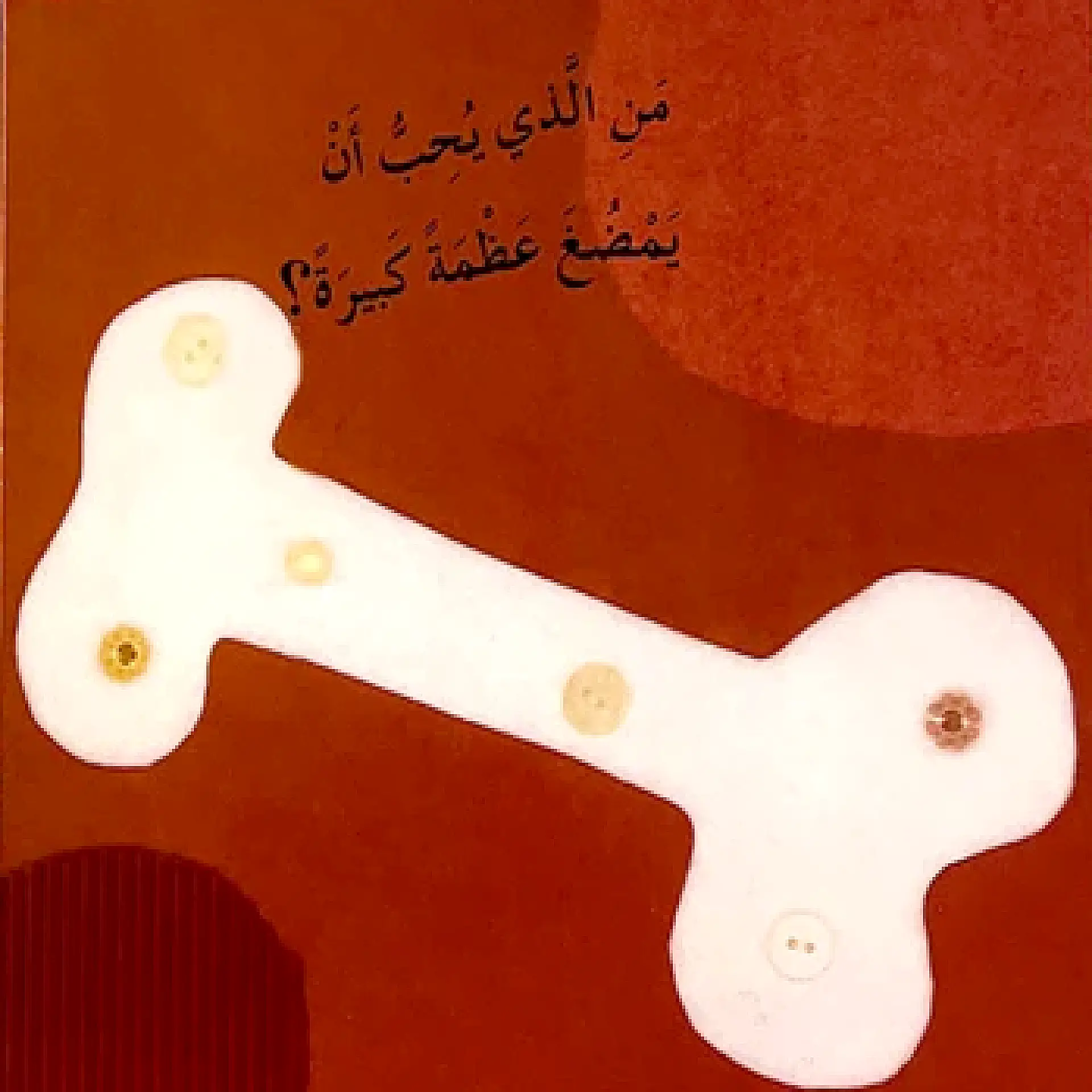 الارانب تحب الجزر