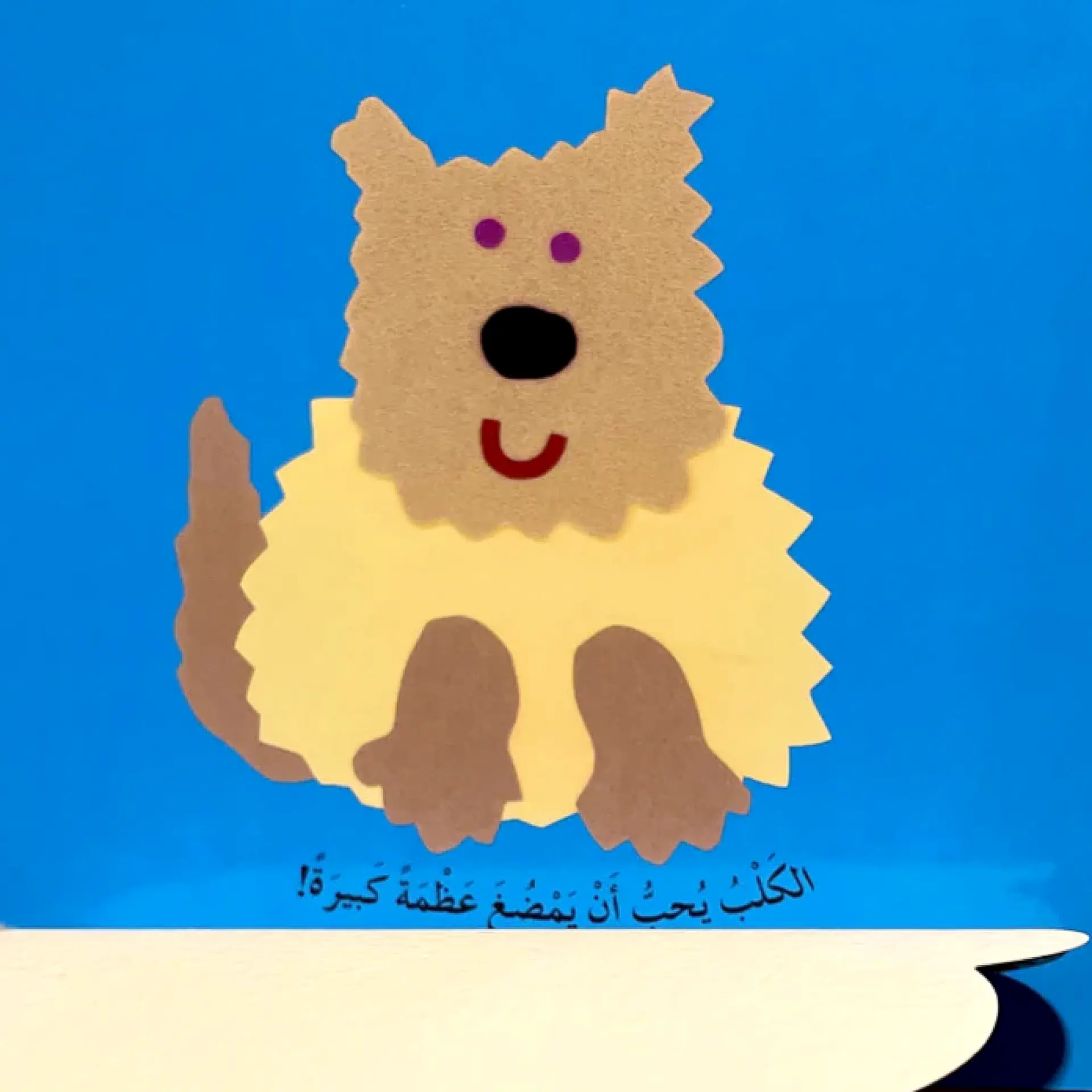 الارانب تحب الجزر