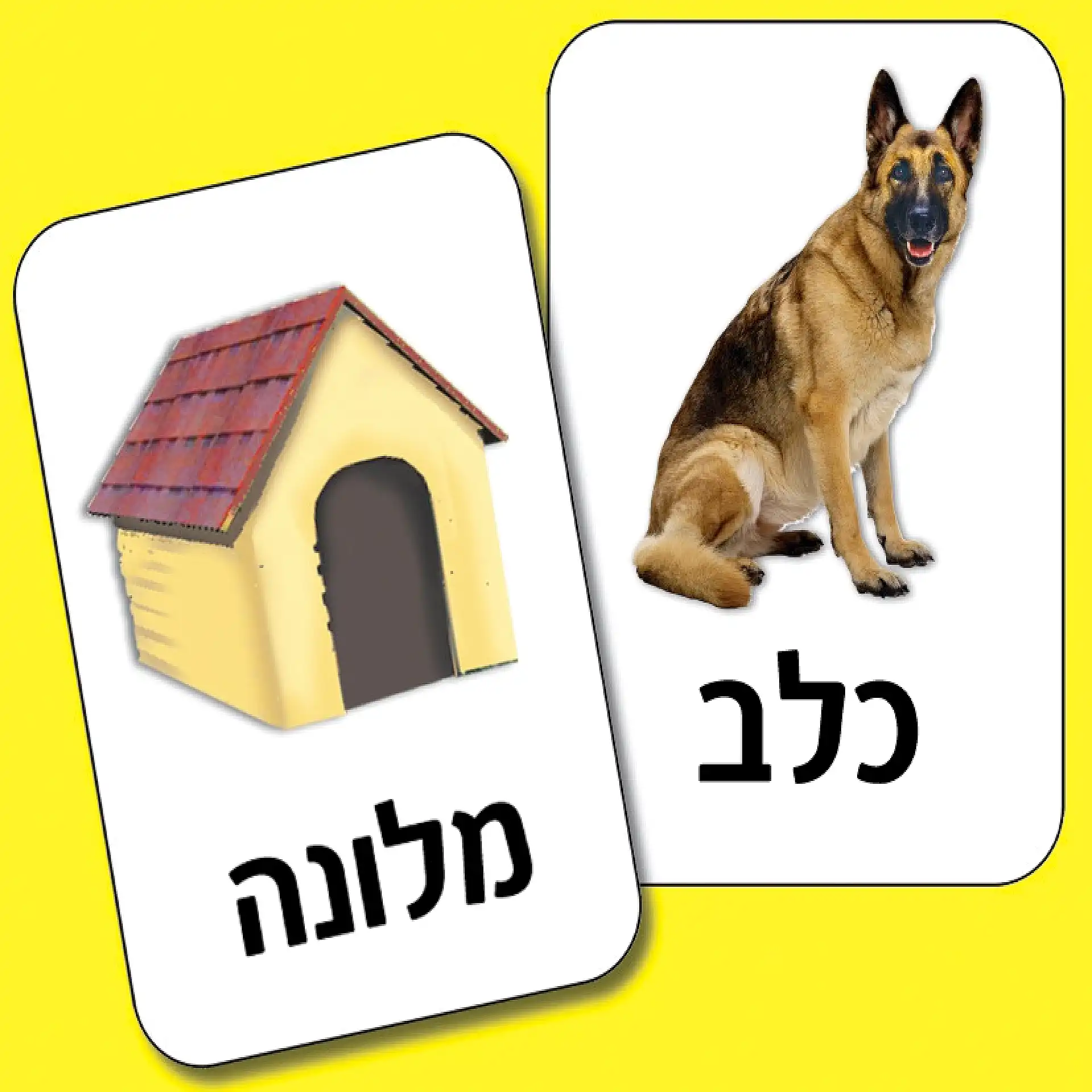 لعبة بطاقات – أين أعيش؟