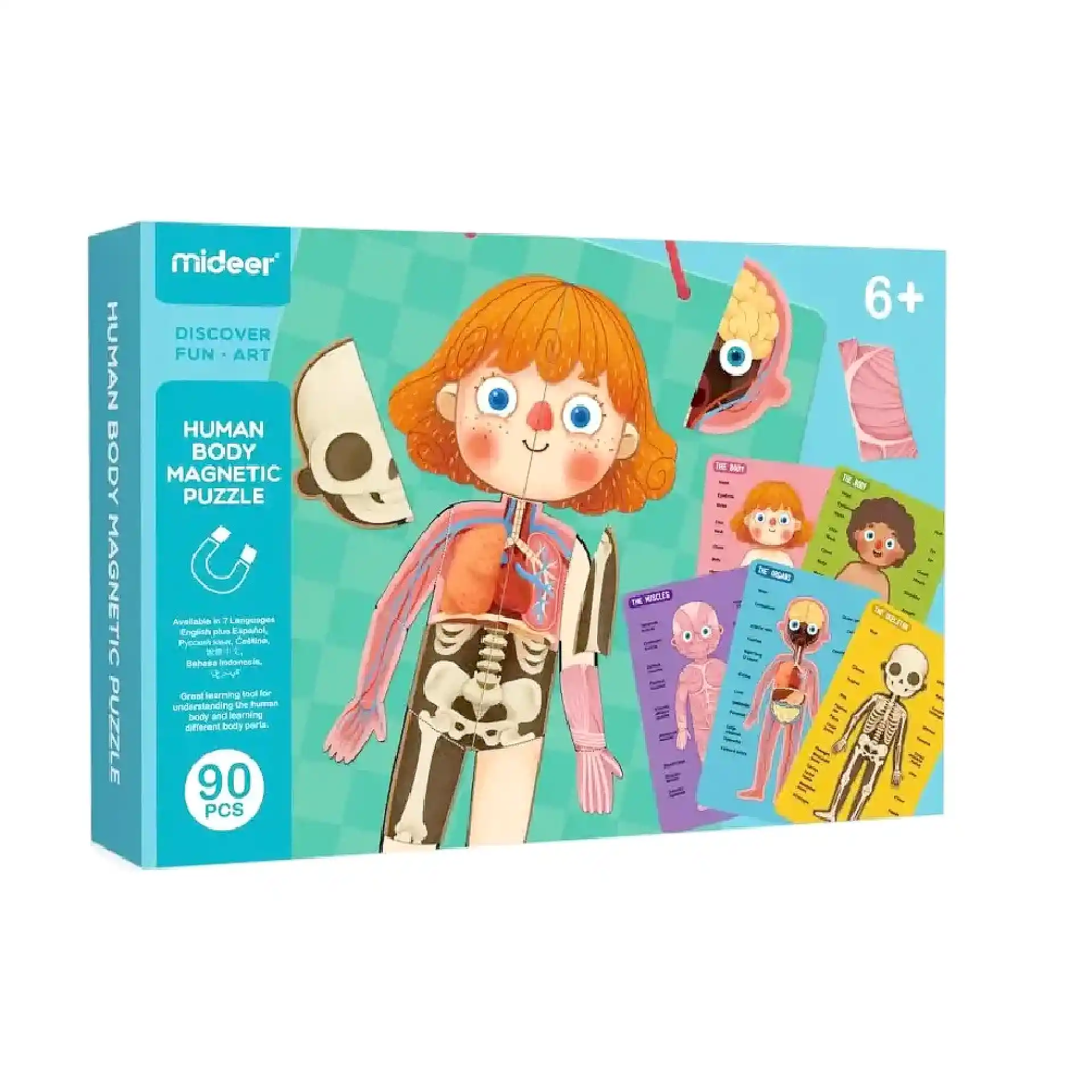بازل مغناطيسي – جسم الإنسان (84 قطعة) | Mideer